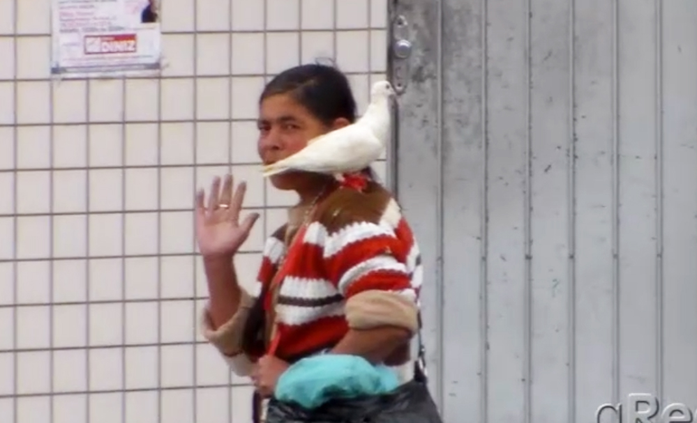 Mulher da Pomba no ombro em Ponta Grossa.