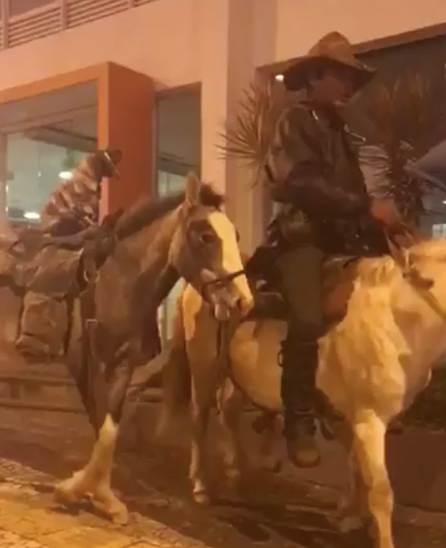 Cachorro vestido de gaúcho e andando à cavalo