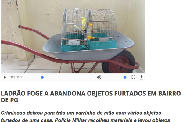 Ladrão foge e abandona objetos furtados