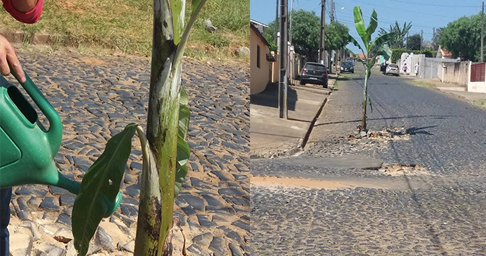 Solução sustentável para acabar com os buracos