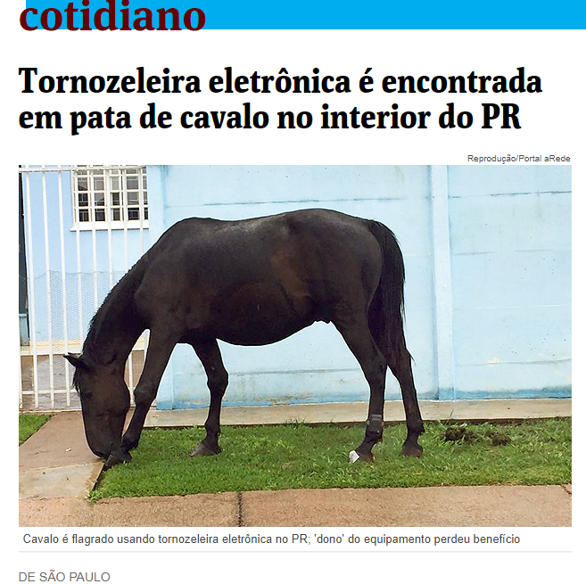 Cavalo com tornozeleira eletrônica em Ponta Grossa