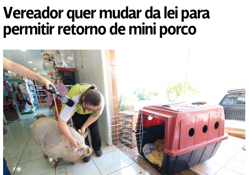 A veterinária e o porquinho