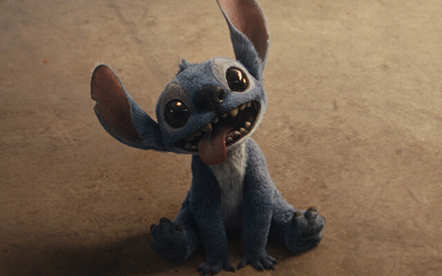 stitch leia a critica que tar