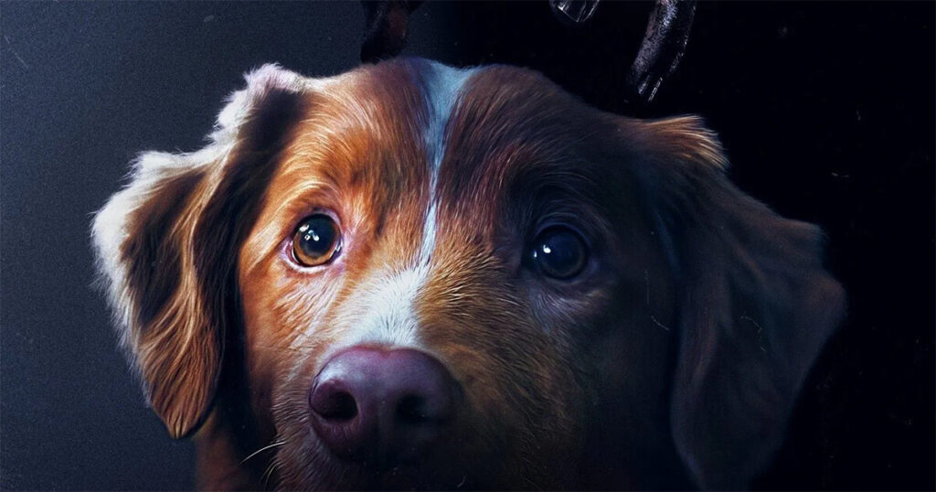 bom menino crítica paris filmes cinema terror