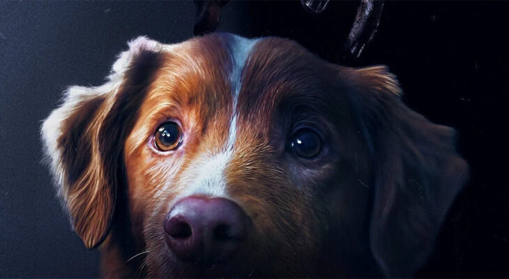 bom menino crítica paris filmes cinema terror