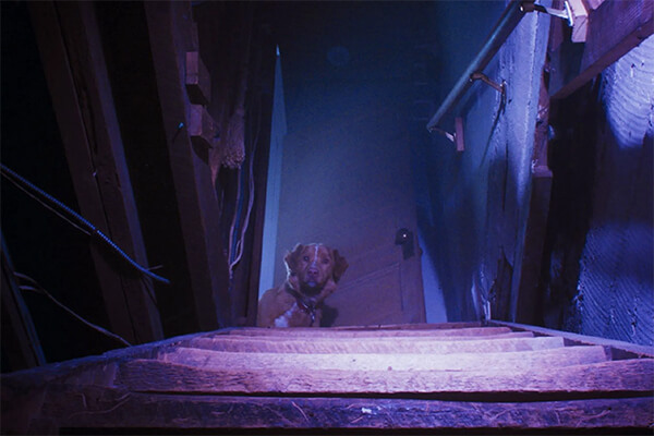 bom menino leia a critica do filme