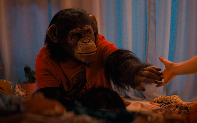 Terror de sobrevivência, O Primata acompanha uma família encurralada por um chimpanzé violento, em um thriller intenso ambientado no Havaí.