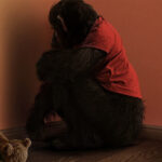 saiba mais sobre o filme o primata