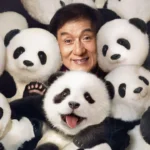 Por dentro de ‎Operação Panda: Missão Resgate: curiosidades, elenco e onde assistir